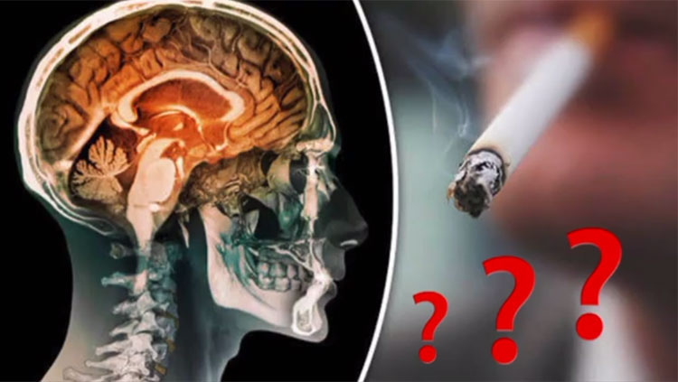 Nicotine can save your brain cells The impact of nicotine on the likelihood of getting Alzheimer disease