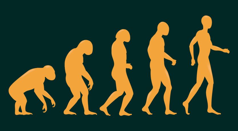 DARWIN’S EVOLUTION THEORY AS A CONTINUATION OF THE BIG BANG THEORY